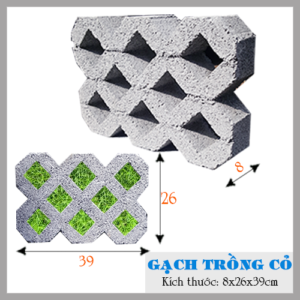 Mẫu gạch trồng cỏ 8 lỗ